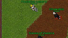 Maximiun zanera on screen