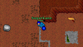 Sugarkane on screen