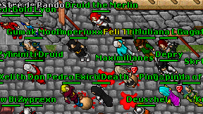 Druid the Merlin on screen