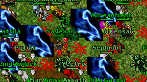 Navexa on screen
