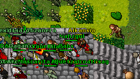 Alkansia on screen