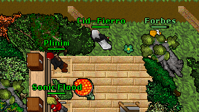 Plinim on screen