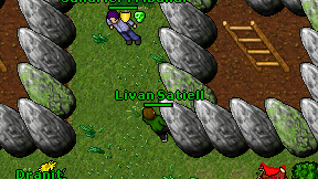 Livan Satiell on screen
