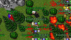 Rokiz Sniper on screen
