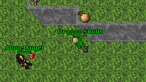 Dragon Skulls on screen