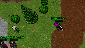 Barttez on screen