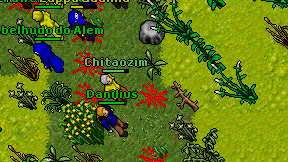 Chitaozim on screen