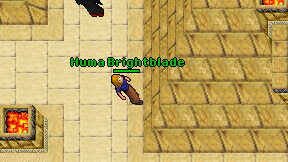 Huma Brightblade on screen