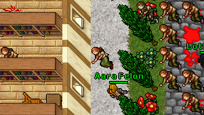 Aara Felon on screen