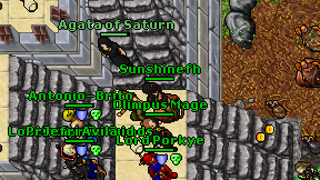 Sunshinefh on screen