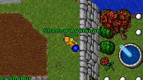 Shadow'Avalange on screen