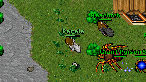 Perela on screen