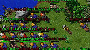 Duke Panda on screen