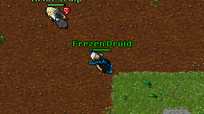 Frezen Druid on screen