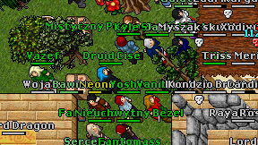 Druid Cise on screen