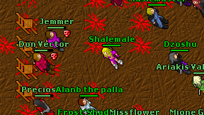Shalemale on screen