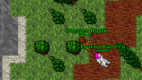Danger Hawk on screen