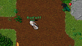 Rud'off on screen