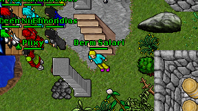 Berm Salari on screen