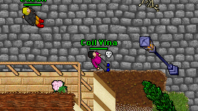 Coil Vina on screen