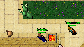 Wirlla on screen