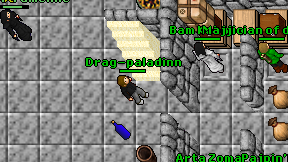 Drag-paladinn on screen