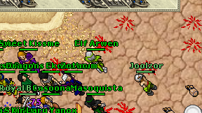 Elf Arwen on screen