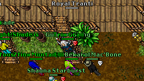Royal Tranti on screen