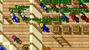 Pedronha Revolutions on screen