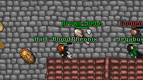 Half-Blood Pheonix on screen