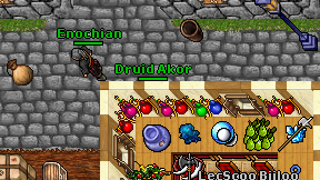 Druid Akor on screen