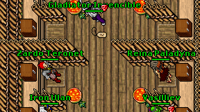 Gladiator Invencible on screen