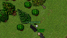 Lasowiak on screen