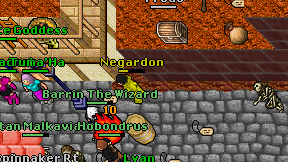 Negardon on screen