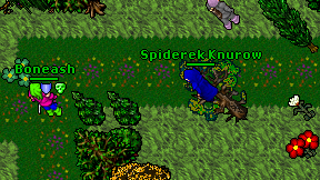 Spiderek Knurow on screen