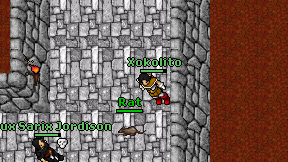 Xokolito on screen