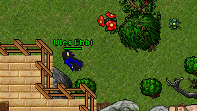 Ules Ebbi on screen