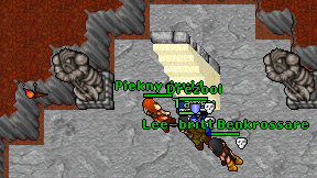 Piekny druid on screen