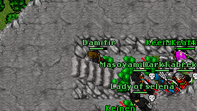 Damifir on screen
