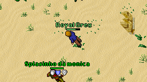 Royal Grex on screen