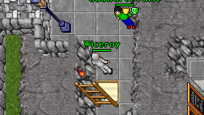 Wiceroy on screen