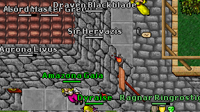 Sir Hervazis on screen