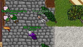 Paradokz on screen