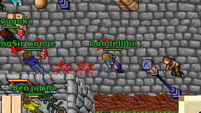 Dandellion on screen