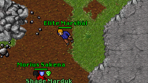 Elite Marshal on screen