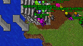 Winadus on screen