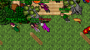 Herpy on screen