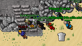 Fanskap on screen