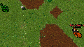 Avalonx on screen