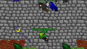Eukalyptus on screen